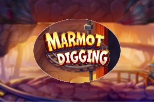 01797 marmot digging